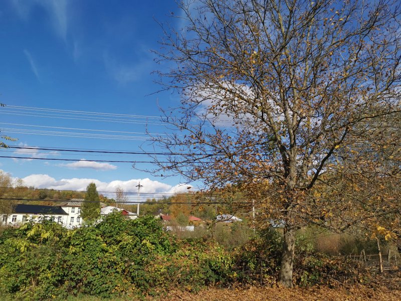 Curte minunata, Bughea de Jos, 5 minute de Valeni de Munte PH