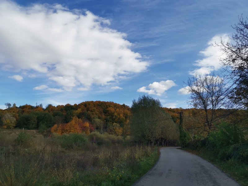 Curte minunata, Bughea de Jos, 5 minute de Valeni de Munte PH